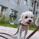 무지개다리 이미지