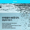 경기관상어 이미지