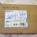 나인페츠 이미지