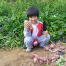 준서농장 이미지