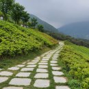 수만리 생태 숲 공원 이미지