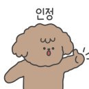 데이지 독 이미지