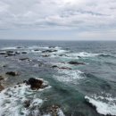 (주)좋은집좋은방부동산중개법인 이미지