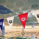 박태환수영장 이미지