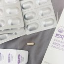 쁘띠앤독 이미지