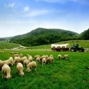 WIN행정사공인중개사사무소 이미지