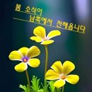 3월21일 역지사지. BTS 아리랑,즐거운 주말 되세요 이미지
