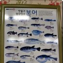 해빈촌 이미지