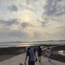 어촌계 | 태안 갯벌체험 진산리어촌계 아기랑 방문 후기