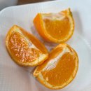 브레이크타임 | 남천동 만두전골 맛집 무궁화, 브레이크타임 전 점심 후기