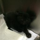 공덕119안전센터 이미지