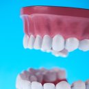 만나치과기공소 이미지