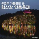 금장대 | 경주 가볼만한 곳 형산강 연등축제 금장대 기간 주차장 첫방문 후기