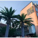 솔게스트하우스 양양서핑점 이미지