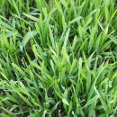 장고축산 이미지