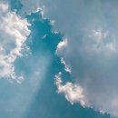 법무법인통 - 서초구 서초대로50길 18 | 법무법인통