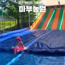 입장료 1만원대! 청주 물놀이장 마부농원 아이랑 다녀온 후기
