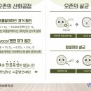 월넛어학원