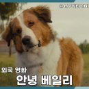 마그내농장 | 티빙 추천 가족 힐링 영화 안녕 베일리, 강아지와의 감동 여정