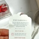 포지전자 이미지