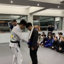 팀혼주짓수