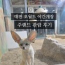 물총새공원로 | 대전 오월드 야간개장, 야간 주랜드 동물원 방문 후기