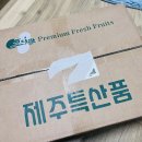 평화농장 | 제주 밤호박 / 농라에프 평화농장 미니밤호박 후숙만빵공품 :: 단호박 간단조리법