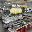 쌍트리