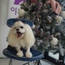 미르스파 이미지