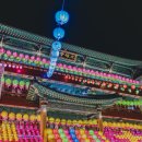 장흥사 부속유치원 | 창원 원흥사 연등 연등회 부처님 오신날