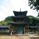 야간시티투어(토요일) 이미지