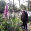 한가로이민박 이미지