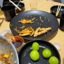가원프린트 | 산가원 글램핑 우중 체험 후기 내돈내산