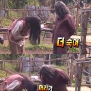 동오역 이미지