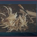 웰리힐리파크 관광단지 이미지