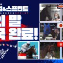 코리아팡팡