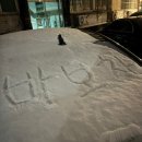 (주)고속에너지 조은에너지 | 12월의 여행기록 블챌 마지막주 일상 끄적이기