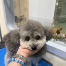 Mong's(몽'스) 이미지