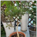 미륵산농장 이미지