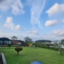 동화나라 애견 이미지