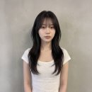 보그헤어 목동점