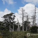 오름자산연구소