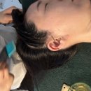 모모셀
