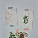 카페 바나당 이미지