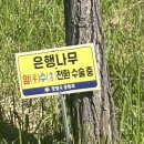 내우산경로당 이미지