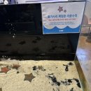 전주 아기랑 갈만한 곳 어푸어푸 솔직후기