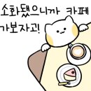 와와카페 이미지