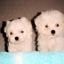 (주)말티 이미지