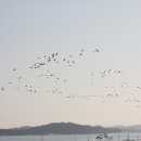 아라메길(2) 이미지