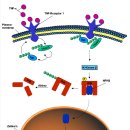 아침빛한의원 이미지